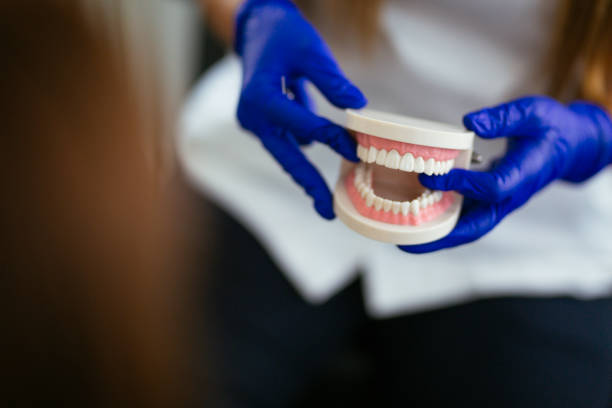  Bonneauville, PA Holistic Dental Care Services Pros